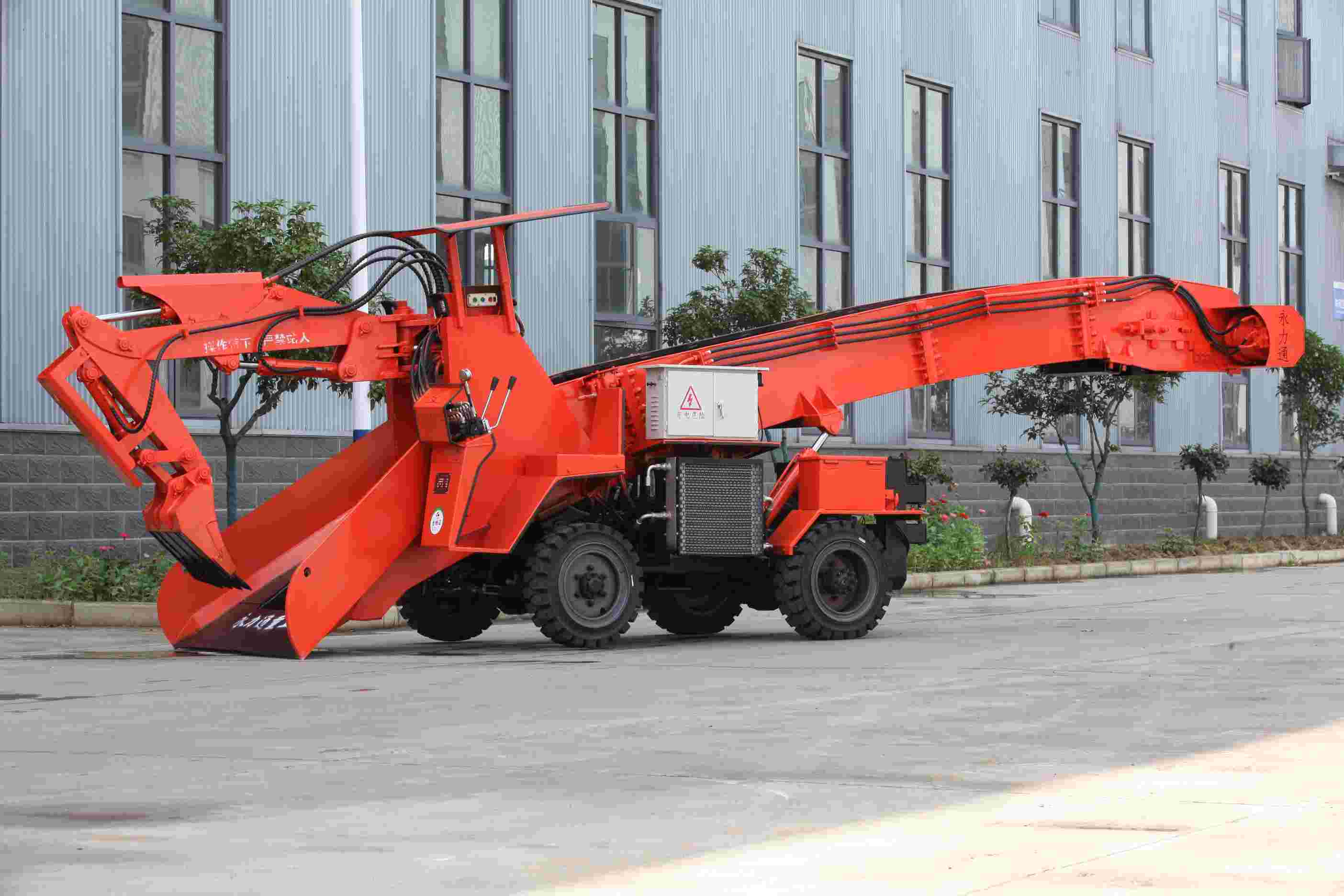 情侣多肉拼盘的非性园艺活动与生机亲密