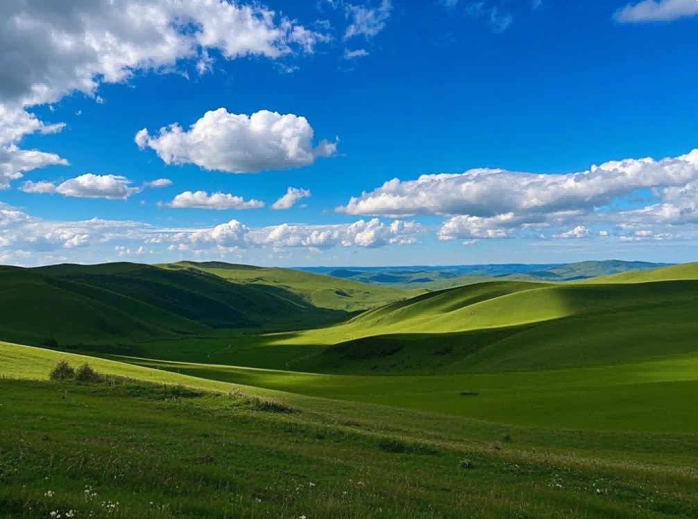 性传播疾病检测阴性的后续防护巩固指南